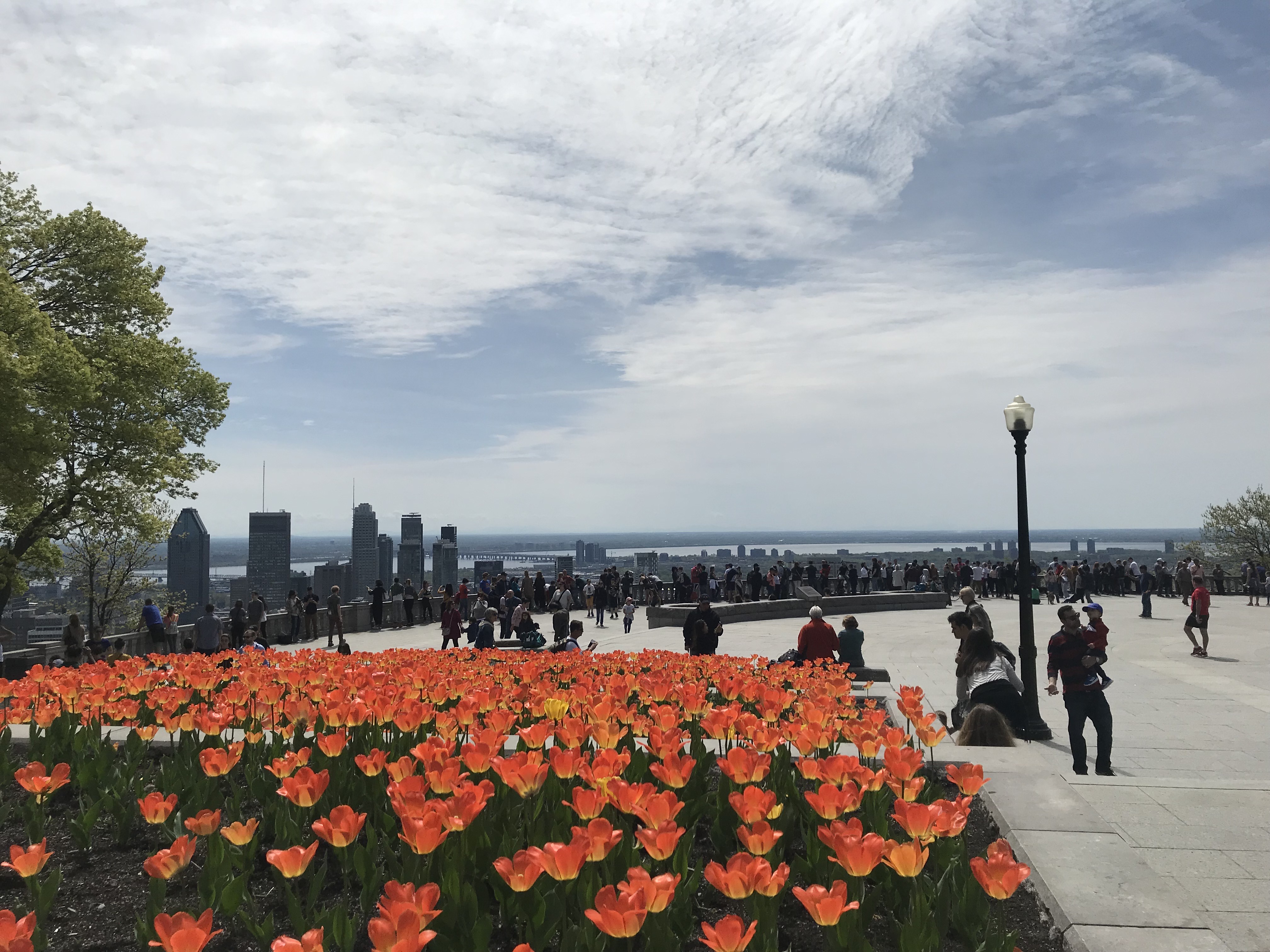 Parc du Mont-Royal