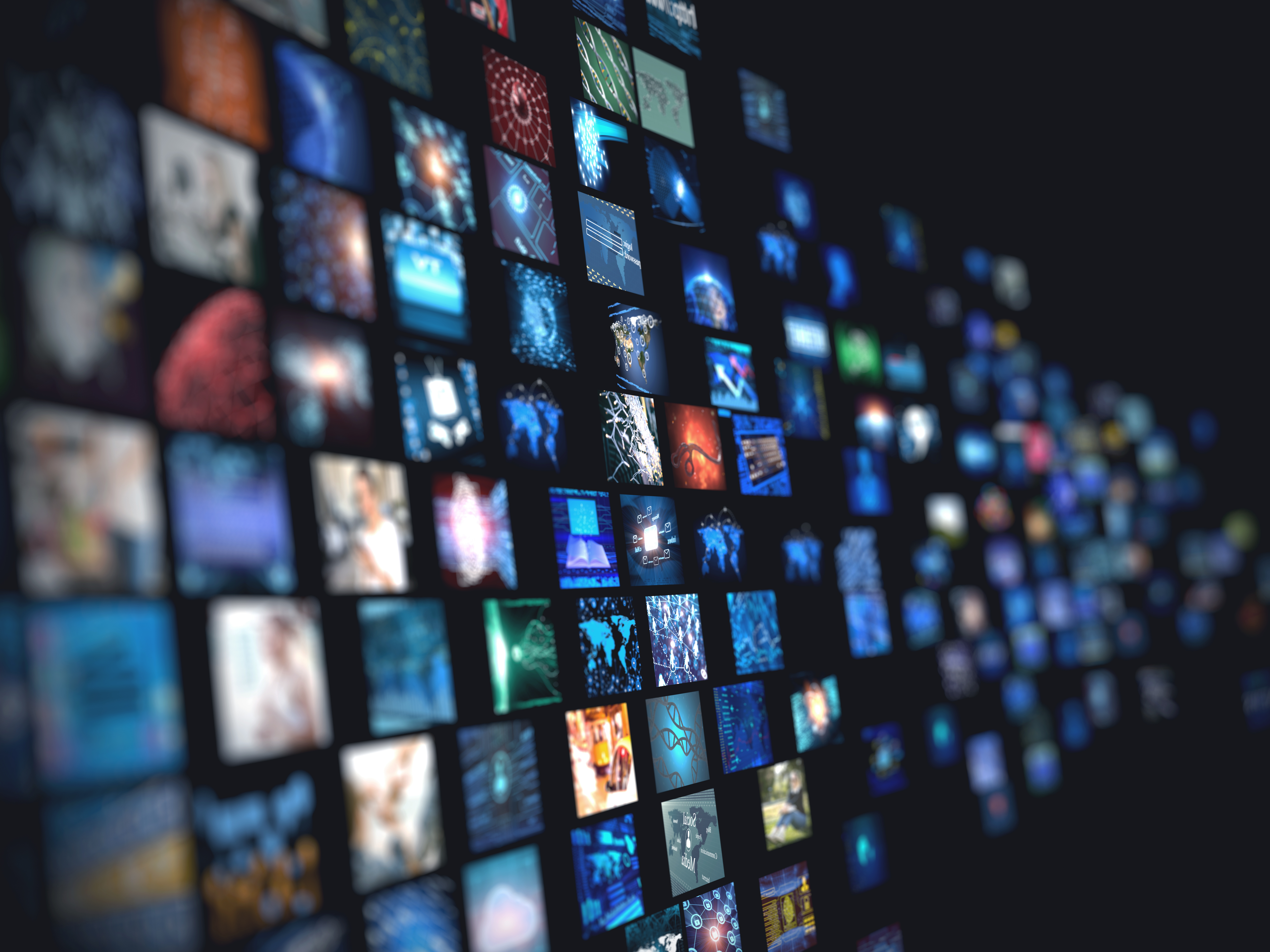 情報の選択と理解