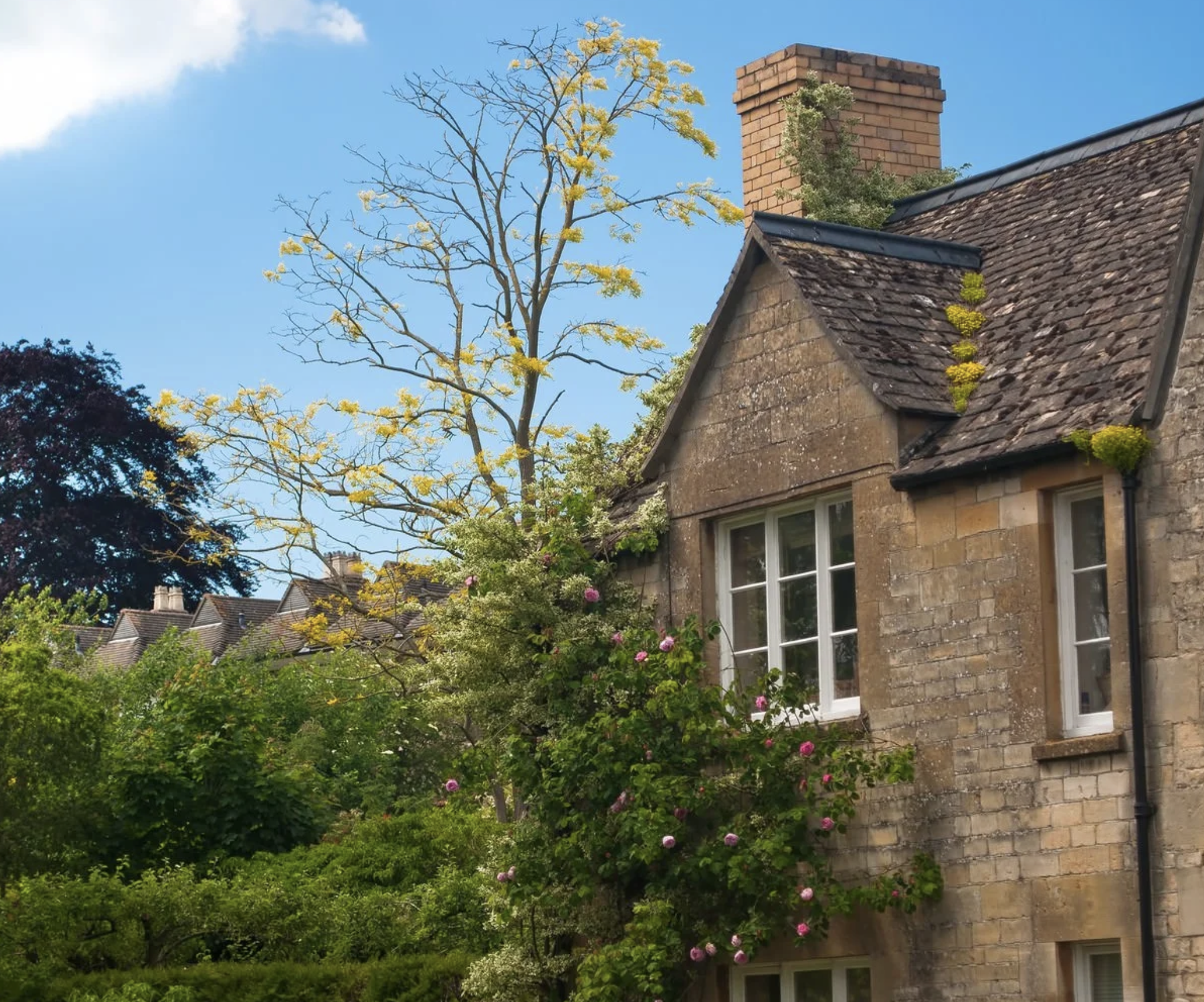 Screenshot 2023-06-13 at 23.49.44.png